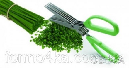 Ножницы для зелени с пятью. лезвиями
Ножницы для зелени Empire EM-3114 изготовле. . фото 1
