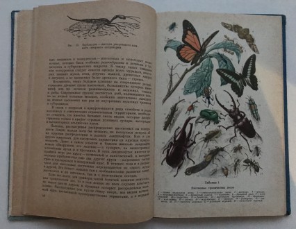 В мире насекомых.  Д.В.Панфилов.
М., 1969 г. Издательство "Лесная промышле. . фото 7
