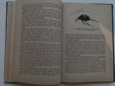 В мире насекомых.  Д.В.Панфилов.
М., 1969 г. Издательство "Лесная промышле. . фото 8