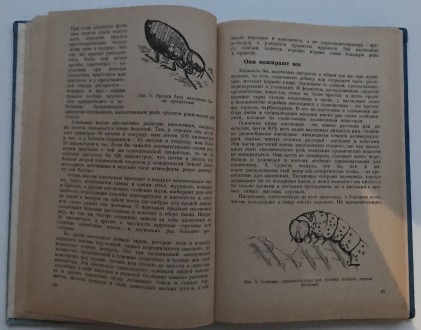 В мире насекомых.  Д.В.Панфилов.
М., 1969 г. Издательство "Лесная промышле. . фото 6