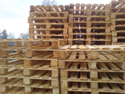 Організація на постійній основі купує дерев'яні піддони розмірами 1200х800,. . фото 4