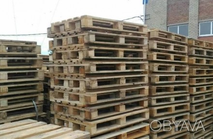 Організація на постійній основі купує дерев'яні піддони розмірами 1200х800,. . фото 1