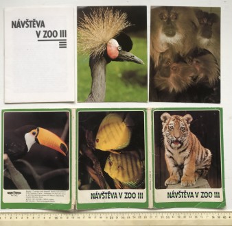 Набор цветных фотографий. 17 листов.
Navsteva v zoo III.
Посещение зоопарка II. . фото 3