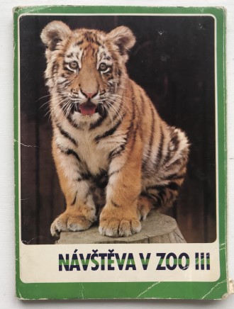 Набор цветных фотографий. 17 листов.
Navsteva v zoo III.
Посещение зоопарка II. . фото 2
