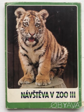 Набор цветных фотографий. 17 листов.
Navsteva v zoo III.
Посещение зоопарка II. . фото 1