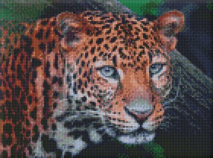 CDATA[Набір з алмазною мозаїкою "Квітуча лаванда" 40х50см Работаем с 2011 годаБлагодаря большому опыту в торговле, наш
Днепр
Новое
![Набір з алмазною мозаїкою "Дикий погляд" 30х40см. Днепр. фото 1 Набір з алмазною мозаїкою "Дикий погляд" 30х40см. Днепр. фото 1