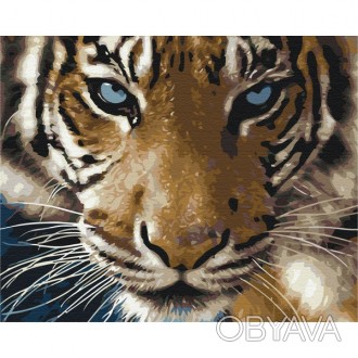 ![CDATA[Картина за номерами: Погляд тигра 40*50 Работаем с 2011 годаБлагодаря бо. . фото 1