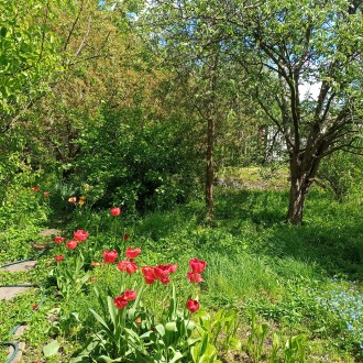 Продается дача на р. Сура в СТ "Зеленый Гай", дачный участок 4 сотки, . . фото 5