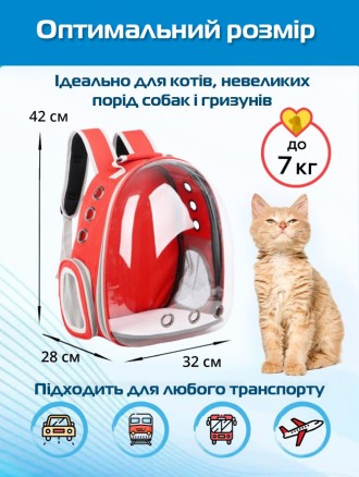  
 
Рюкзак-переноска для кошек и собак Pet Cat- это инновационный рюкзак, которы. . фото 4
