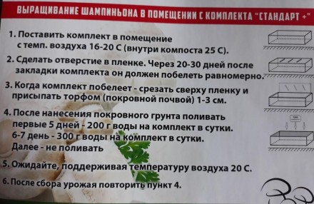 Високоякісний ЕКО комплект, в який входить:
-Грибна коробка
-Міцелій який вже за. . фото 11