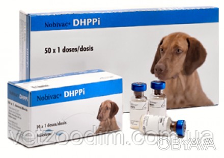 ІНСТРУКЦІЯ
по застосуванню вакцини длся собак Нобівак DHPPi (Nobivac DHPPi)
СКЛА. . фото 1