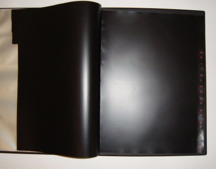 Визитница А4 на кольцах Durable Visifix с разделителями на 400 визиток черная (2. . фото 7