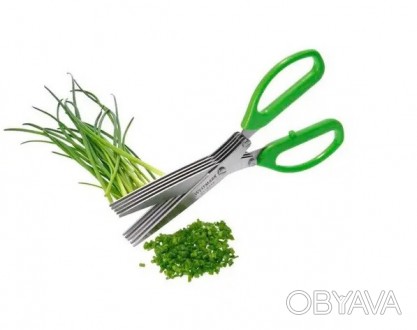 Ножницы для нарезки зелени и овощей Frico FRU - 007 c 5 -ю лезвиями из нержавеющ. . фото 1