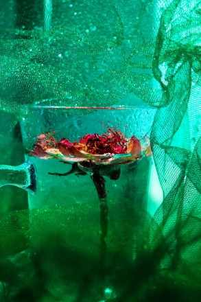 Открытка с прозрачной чашкой, розой и зеленым цветом. Фотограф Катерина Савенко.. . фото 2