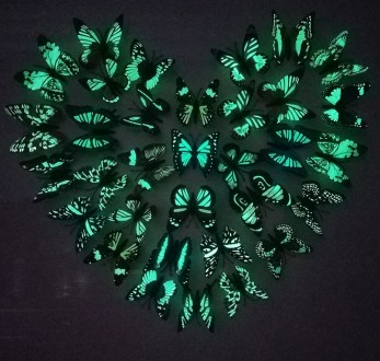 DIY 8cm fluorescent 3D butterfly wall stickers magnetic light reflective glow fl. . фото 2