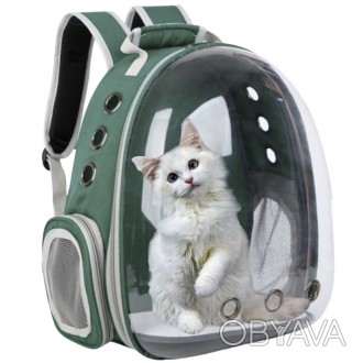 Прозрачный рюкзак для переноски животных Pet Cat для кошек и собак Green