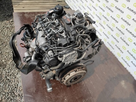  Двигатель Volkswagen Golf VI 2.0 tdi (Фольксваген Гольф 6) 2008-2012 г.в.Маркир. . фото 4