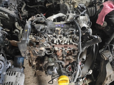  Мотор 1.5 dci Renault Megane 3 (Рено Меган 3) 2012-2016 г.в.OE: K9KA636, K9K636. . фото 7