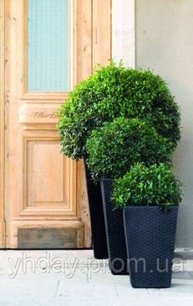 Горщик для рослин Keter Medium Rattan Planter сірий
Бренд: Keter (Ізраїль)
Вага:. . фото 3