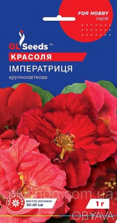 Однолетнее растение с большими, эффектными листьями ароматными насыщенно-красным. . фото 1