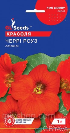 Оригинальный сорт с насыщенной окраской листьев и яркими, крупными, расположенны. . фото 1