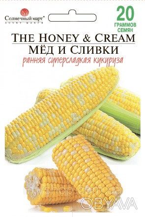 Ранний сорт (около 75 дней от всходов) с хрустящими сладкими зернами, плотно упа. . фото 1