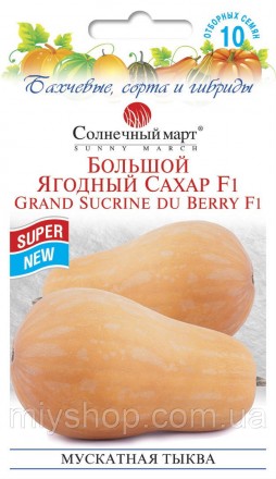 Тыква Большой ягодный сахар F1 10 шт Солнечный март. Лубни. фото 1 Тыква Большой ягодный сахар F1 10 шт Солнечный март. Лубни. фото 1
