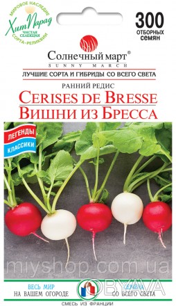 В соответствии со своим названием, Cerises de Bresse, это редис размером с крупн. . фото 1