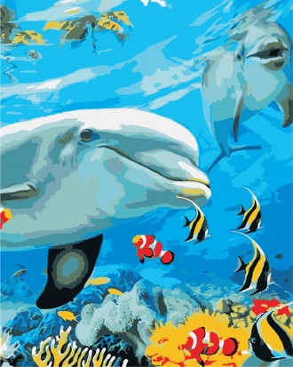 Картина AS 0868 Улыбка дельфина по цифрам
Набор для рисования по номерам включае. . фото 2