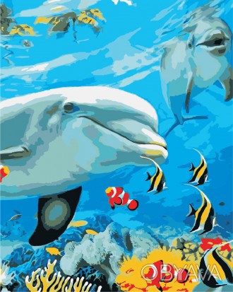 Картина AS 0868 Улыбка дельфина по цифрам
Набор для рисования по номерам включае. . фото 1
