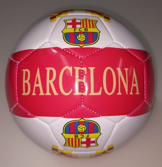 М'яч футбольний тренувальний полегшений FB20144
Розмір No5
Вага 390 г
 
. . фото 3