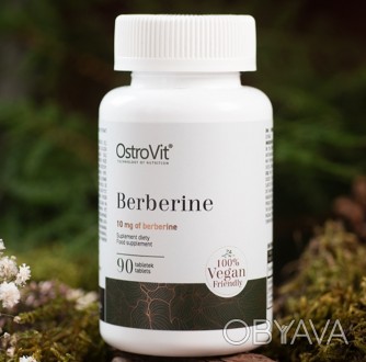 Berberine от компании OstroVit – это пищевая добавка в таблетках, содержащая экс. . фото 1