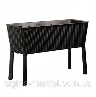 Квітковий горщик Keter Easy Grow 230298. Київ. фото 1 Квітковий горщик Keter Easy Grow 230298. Київ. фото 1