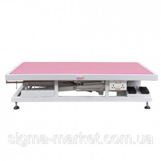 Сенсаційний великий стіл для обрізання з електричним підіймачем і стільницею роз. . фото 8