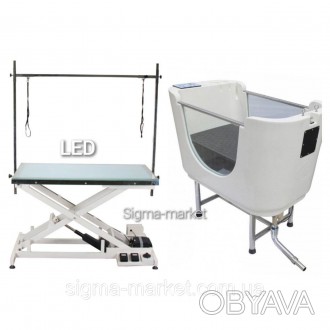 Набор для груминга стол Blovi Luminous стеклянной столеш, LED +ваннаBlovi Hydro . . фото 1