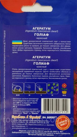 Очень декоративный компактный сорт с пушистыми соцветиями насыщенной карминной о. . фото 3