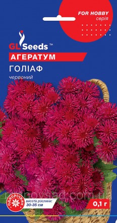 Очень декоративный компактный сорт с пушистыми соцветиями насыщенной карминной о. . фото 2