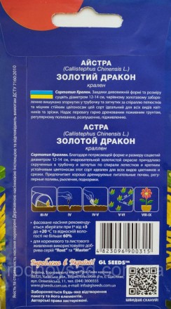 Благодаря потрясающей форме и размеру соцветий диаметром 12-14 см, волшебной зол. . фото 3