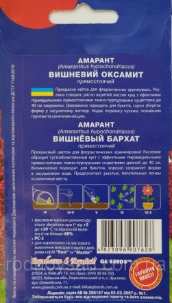 Прекрасный цветок для флористических аранжировок! Образует густолистный куст с п. . фото 3