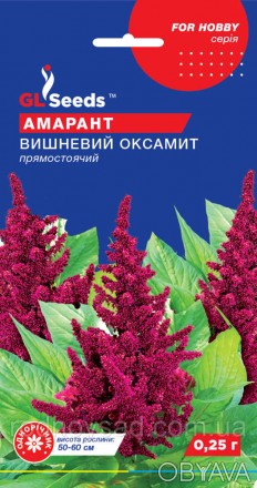 Прекрасный цветок для флористических аранжировок! Образует густолистный куст с п. . фото 1