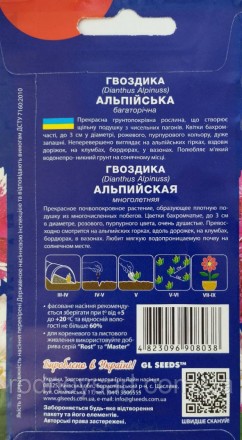 Прекрасное почвопокровное растение, образующее плотную подушку из многочисленных. . фото 3