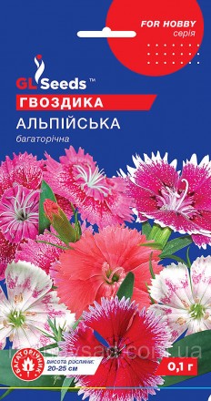 Прекрасное почвопокровное растение, образующее плотную подушку из многочисленных. . фото 2