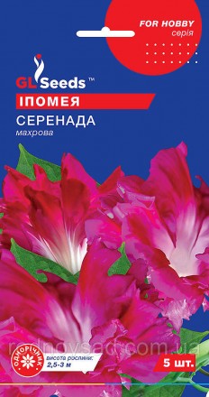 Ипомея Серенада - это цветущая ліана, которая станет прекрасным декором для ваше. . фото 2