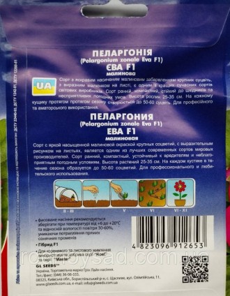 Этот сорт пеларгонии имеет яркое, насыщенное малиновое окраску больших соцветий . . фото 3