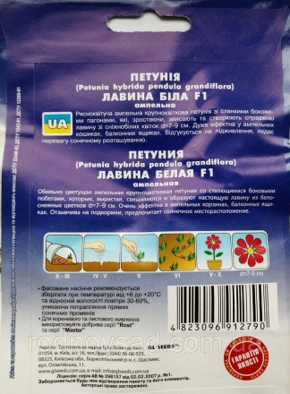 Это растение привлекает внимание своими цветами, которые поражают своей белоснеж. . фото 3