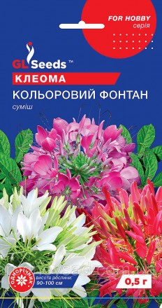 Клеома "Цветной фонтан" - это декоративное растение с яркими, почти неоновыми цв. . фото 2