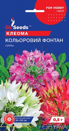 Клеома "Цветной фонтан" - это декоративное растение с яркими, почти неоновыми цв. . фото 1