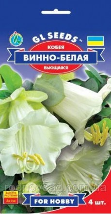Кобея "Винно-белая" - это вьющееся растение с большими белыми цветами, которые и. . фото 2