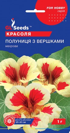 Настурции Клубника со сливками - это прекрасное растение, которое имеет цветы ра. . фото 2