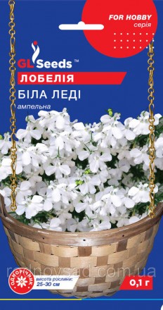 Лобелия Белая Леди - это цветущее растение с белыми цветами, которое может быть . . фото 2